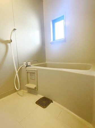 ビーライン鷺沼の物件内観写真